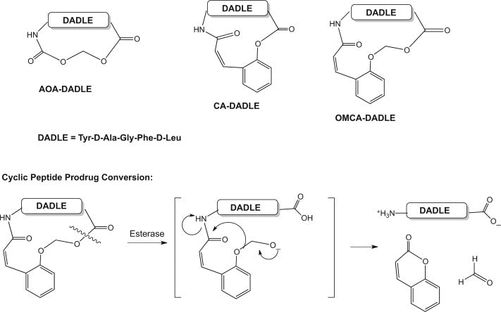 DSIP amino acid sequence diagram